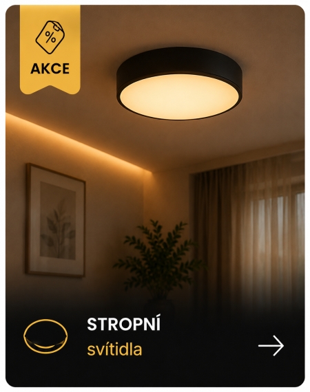 Stropní svítidla
