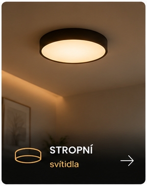 Stropní svítidla